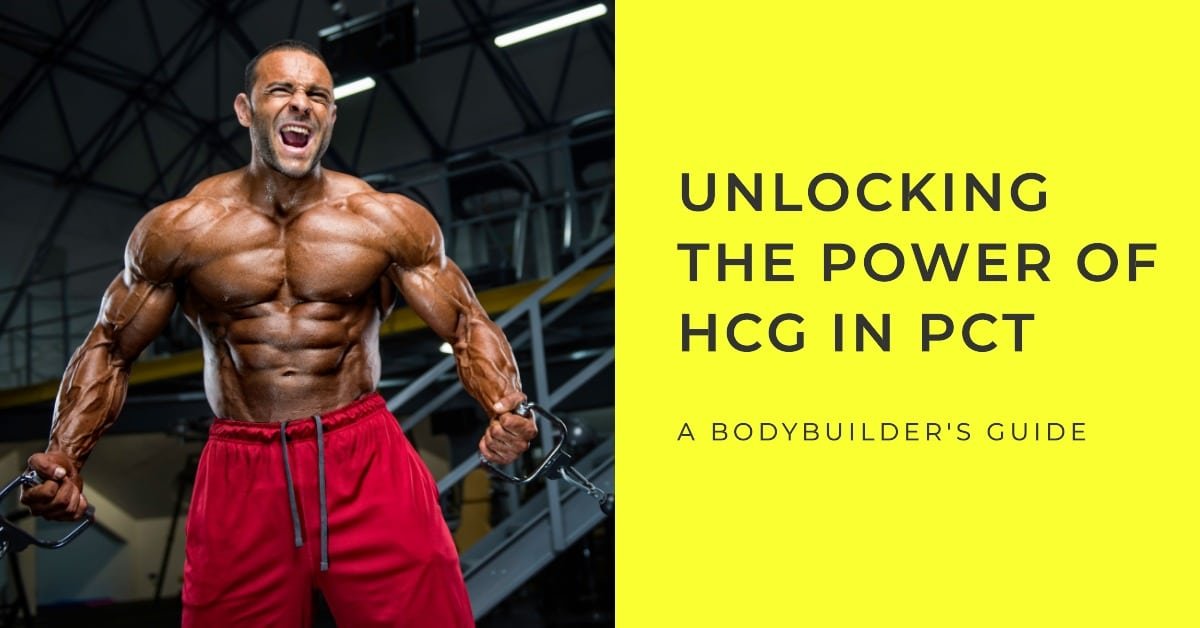 hcg in pct a Bodybuilder's Guide