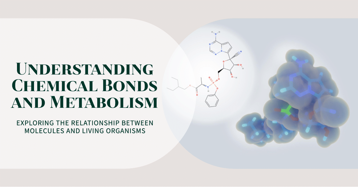 Understanding Peptides HCG: Their Structure, Function, and Uses Key Functions Performed by HCG in the Body