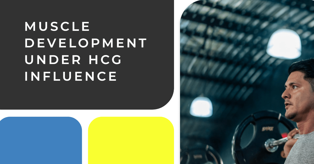 Understanding Peptides HCG: Their Structure, Function, and Uses Muscle Development under HCG Influence